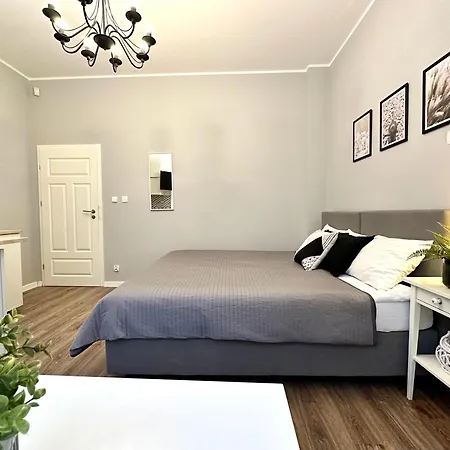 Studio Przy Molo I-iv 아파트 소포트